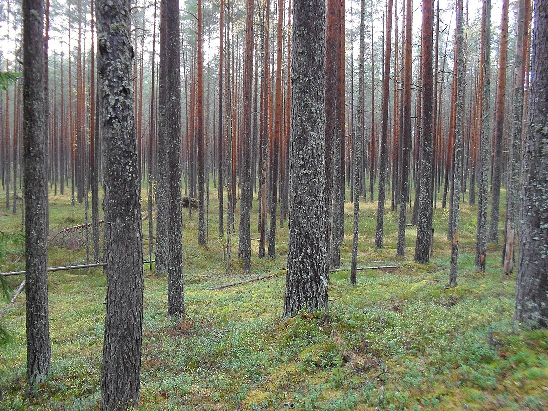 Agusalu Nature Reserve