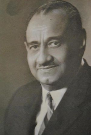 Ahmed Fakhry.jpg