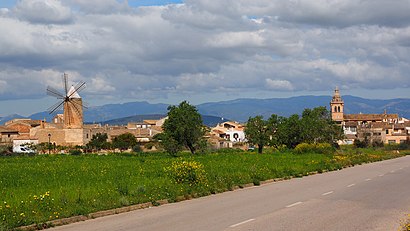 Com arribar a Algaida amb transport públic - Sobre el lloc