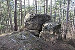 Celtic place of worship Altes Grab, Am Blasenkogel