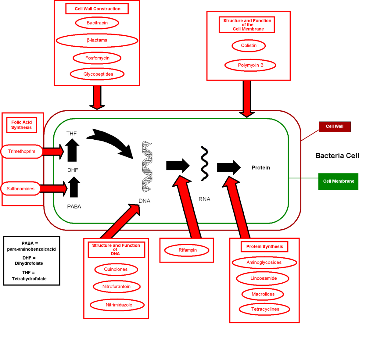 zh.wikipedia.org