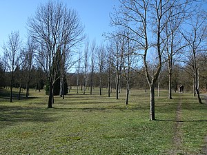 Armentia park