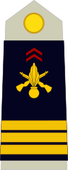 CapitaineFrench Army