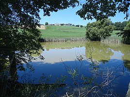 Kienberg from the southeast