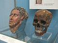 English: Painted lime plaster mask and skull of a man. Roman Period, about AD 100-170. From Hu (Diospolis Parva) EA 30845-6