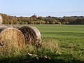 Bales and woods - geograph.org.uk - 280518.jpg