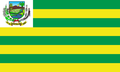 Bandeira de Pontalina