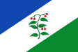Arbúcies zászlaja