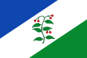 Bandera d'Arbúcies.svg