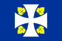 Ribas de Sil - Drapeau