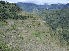 Batad Rice Terraces upper area