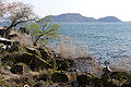Језеро Бива код града Чомејџи-чо, префектура Шига