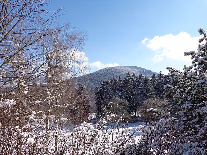 Blick vom Hessenkopf bei Goslar 01.JPG