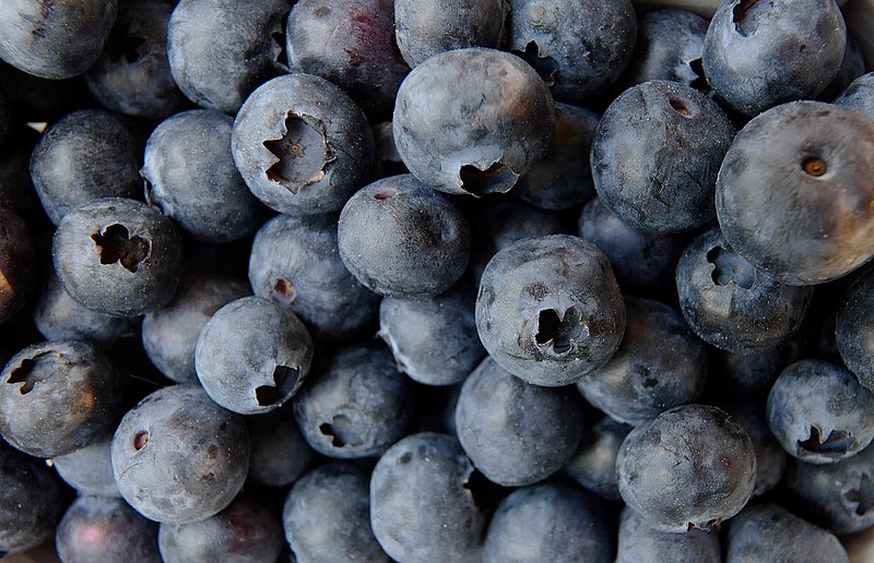 File:Blueberries10.jpg