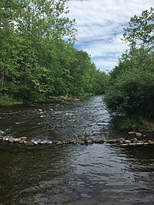 Brodhead Creek runs through Cresco along State Route 447 and feeds into the Delaware River. Considered one of the birthplaces of American fly fishing, it is a popular spot for trout fishing. Brodhead Creek.jpg