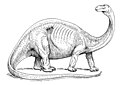 Brontosaurus (PSF).jpg