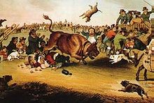 An 1821 depiction of a bull run elsewhere in England Bull running.jpg