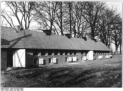 VEG Gross-Langerwisch, Schweinestall Zentralbild, 26.3.1954: Der neue Schweine-Aufzuchtstall des Volksgutes.