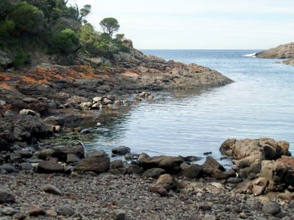 Bushrangers Bay at Bass Point Bushrangers Bay - Bass Point.JPG