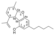 Hemijska struktura -{CBE}--tipa kanabinoida.