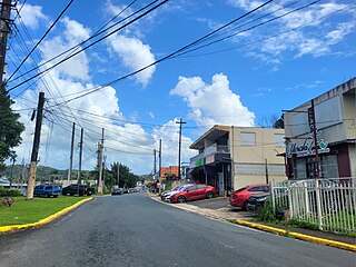 <span class="mw-page-title-main">Contorno, Toa Alta, Puerto Rico</span> Barrio of Puerto Rico