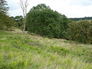<span class="mw-page-title-main">Chater Valley</span> Site of Special Scientific Interest in Leicestershire, United Kingdom