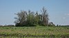 Chickasawba Mound (3M55)