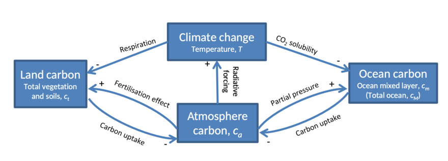 Climate–carbon cycle feedbacks and state variablesas represented in a stylised model Carbon stored on land in vegetation and soils is aggregated into a single stock ct. Ocean mixed layer carbon, cm, is the only explicitly modelled ocean stock of carbon; though to estimate carbon cycle feedbacks the total ocean carbon is also calculated.[106]