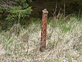 Thumbnail for File:Close up of fence post on old Dumfries- Stranraer railway - geograph.org.uk - 4499297.jpg