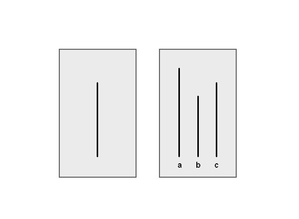 File:Conformity experiment.tif