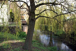 Corhampton Human settlement in England