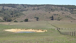 <span class="mw-page-title-main">Dam (agricultural reservoir)</span> Water reservoir on a pastoral property