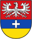 Escudo de armas de Hauenstein