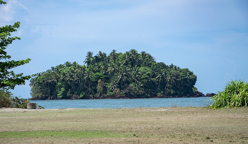 File:Dharmadam Thuruth (Island).jpg