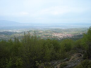 Долно Количани: Географија и местоположба, Историја, Стопанство