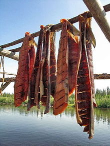 Salmon filets hanging on a rack by a river in Alaska. July 2009 Drying Salmon.jpg