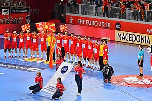 Vaidas Mažeika: Litauischer Handballschiedsrichter