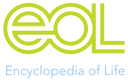 EOL logo.svg