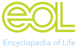 <i>Encyclopedia of Life</i> Free, online collaborative encyclopedia intended to document all living species