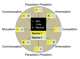 Marine microbial symbiosis