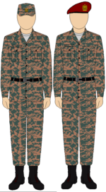 Egyptisch leger Thunderbolt camouflage-uniform