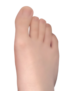 Toe Digit of a foot