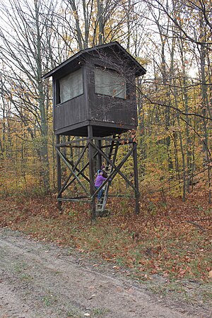 Elevated hunting stand in a forest