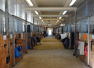 Interiör från stora ladugården inredd med 19 separata hästboxar.