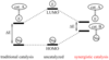 Energy gap between HOMO LUMO is brought even closer by two catalysts activating both substrates simultaneously