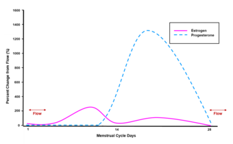 During the menstrual cycle, levels of estradiol (an estrogen) vary by 200 percent. Levels of progesterone vary by over 1200 percent. Estradiol and progesterone %25 changes across the menstrual cycle.tif