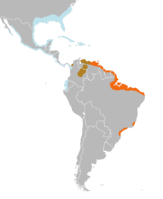 Distribución da especie (en laranxa).