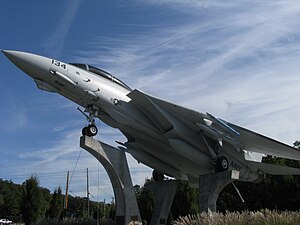 Grumman F-14 Tomcat