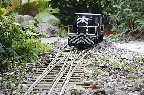 Dual Gauge Garden Railway