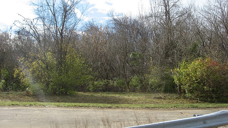 File:Ferris Site south of New Richmond.jpg